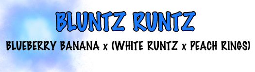 BLUNTZ RUNTZ