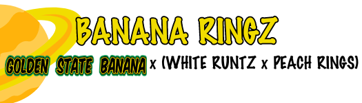 BANANA RINGZ