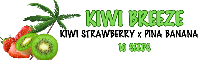 KIWI BREEZE