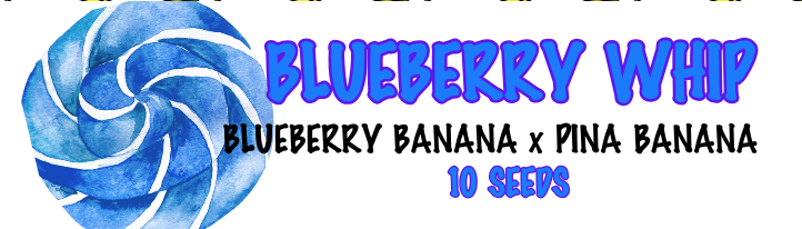 BLUEBERRY WHIP