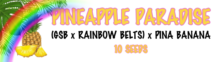 PINEAPPLE PARADISE