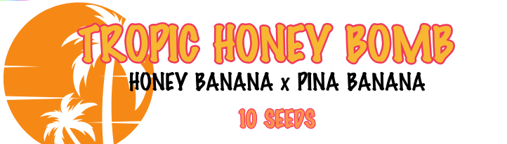 TROPIC HONEY BOMB