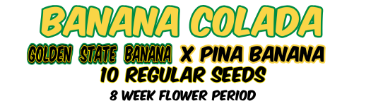 BANANA COLADA